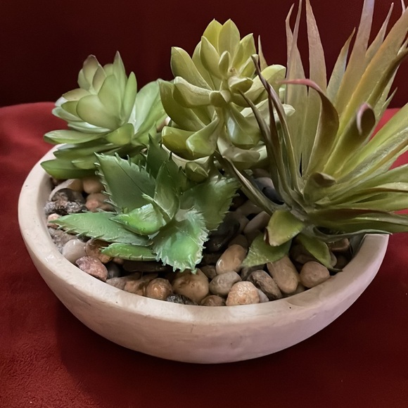 5 Artificial Succulent Plants Small Faux Cacti Mini Potted Plants Indoor Decor - Picture 4 of 6